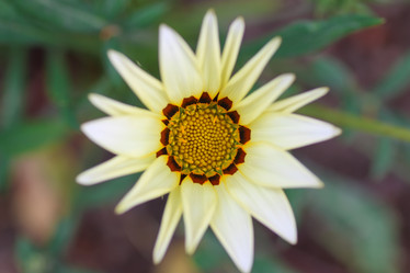 Similar image 13275704