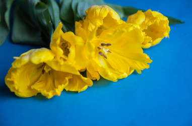 Similar image 13243265