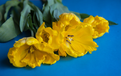 Similar image 13243266