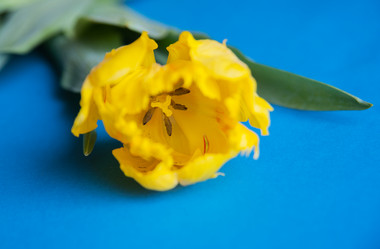 Similar image 13243267