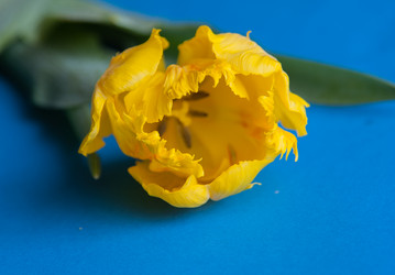 Similar image 13243271