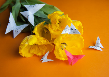 Similar image 13243270