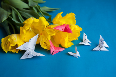 Similar image 13243273