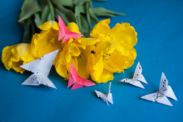 Similar image 13243274