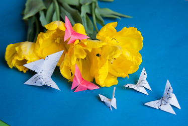 Similar image 13243275