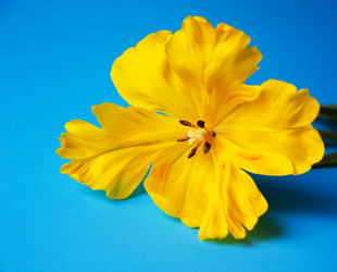 Similar image 13243276