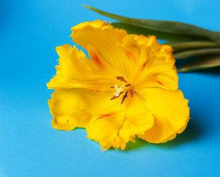 Similar image 13243277