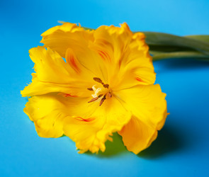 Similar image 13243281