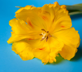 Similar image 13243282