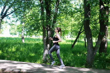 Similar image 13278042