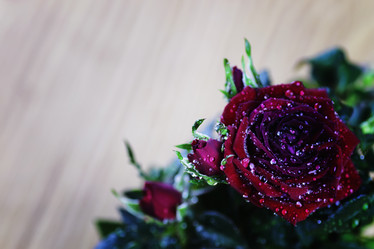 Similar image 13278098