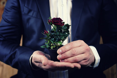 Similar image 13278177