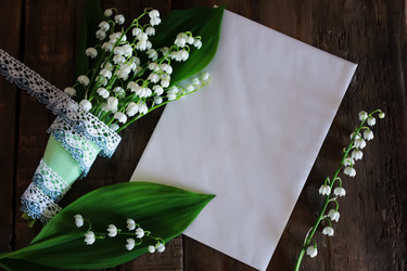 Similar image 13274613