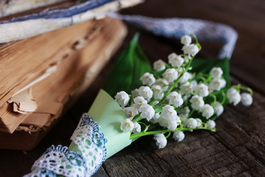 Similar image 13276575