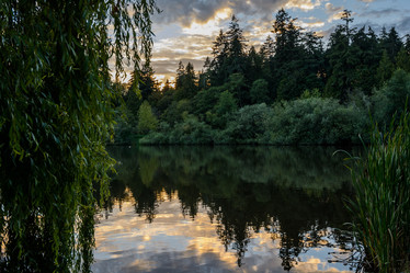 Similar image 13247369