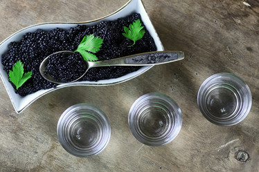 Similar image 13274655