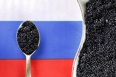 Similar image 13274944