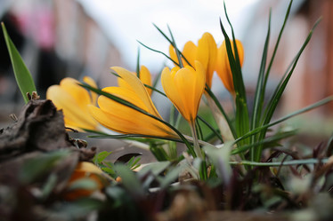 Similar image 13275648