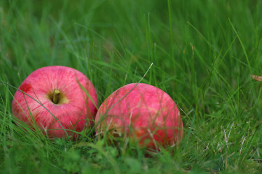 Similar image 13276342