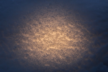 Similar image 13275771