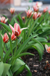 Similar image 13276445