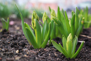 Similar image 13276589