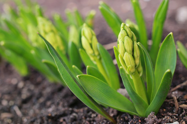 Similar image 13278024