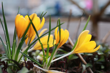 Similar image 13278102