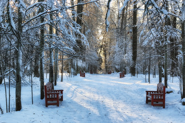 Similar image 13274595