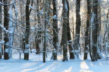 Similar image 13274778