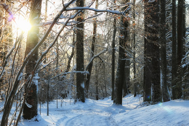 Similar image 13274946