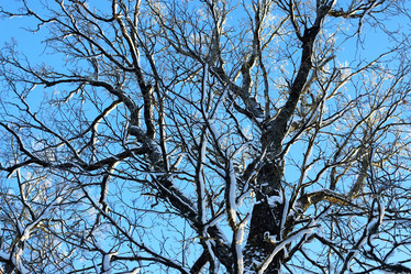 Similar image 13274996