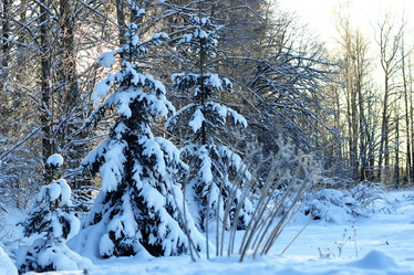 Similar image 13275064