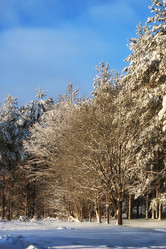 Similar image 13275106