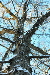 Similar image 13275730