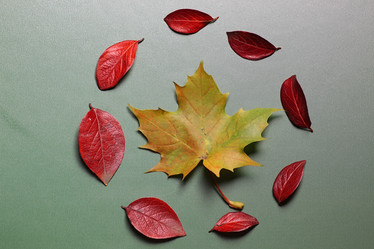 Similar image 13274738