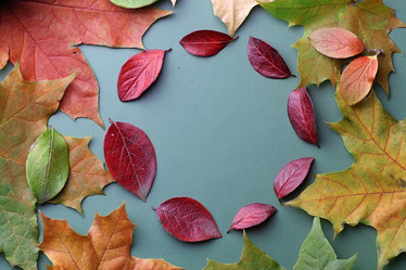 Similar image 13275066