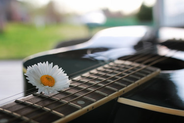 Similar image 13278103