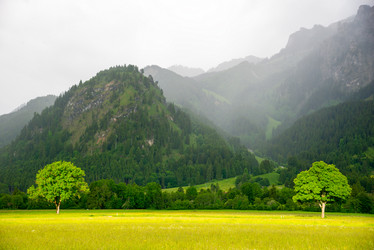 Similar image 13288502