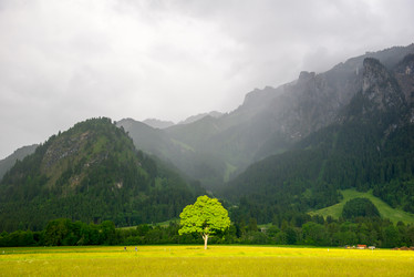 Similar image 13288503