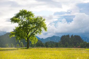 Similar image 13288514