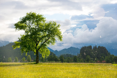 Similar image 13288516