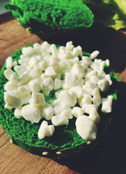 Similar image 13272821