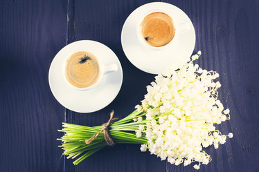 Similar image 13264716