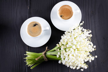 Similar image 13264717