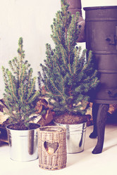 Similar image 13284820