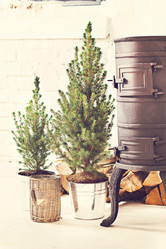 Similar image 13284844