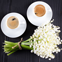 Similar image 13271359