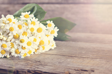 Similar image 13271366