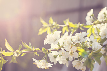 Similar image 13284726